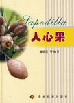 人心果 pdf epub mobi 电子书 下载