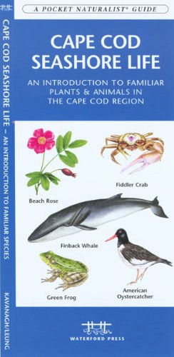 Cape Cod Seashore Life pdf epub mobi 电子书 下载