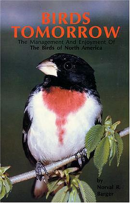 Birds Tomorrow pdf epub mobi 电子书 下载