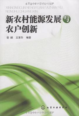 新农村能源发展与农户创新