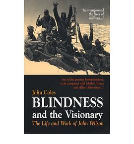 Blindness And the Visionary pdf epub mobi 电子书 下载