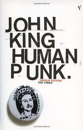 Human Punk pdf epub mobi 电子书 下载