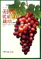 美国提子优质高产栽培 pdf epub mobi 电子书 下载