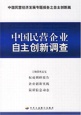 中国民营企业自主创新调查 pdf epub mobi 电子书 下载