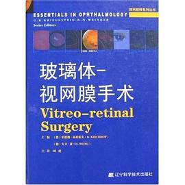 玻璃体 pdf epub mobi 下载