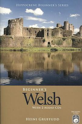 Beginner's Welsh pdf epub mobi 電子書 下載