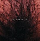 polgasun aoisora pdf epub mobi 电子书 下载