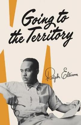 Going to the Territory pdf epub mobi 电子书 下载