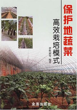 保护地蔬菜高效栽培模式 pdf epub mobi 电子书 下载