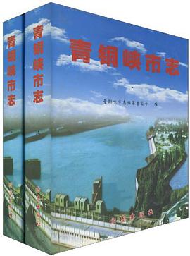 青铜峡市志（上下） pdf epub mobi 电子书 下载