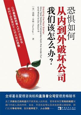 恐惧如何从内到外破坏公司，我们该怎么办？ pdf epub mobi 电子书 下载