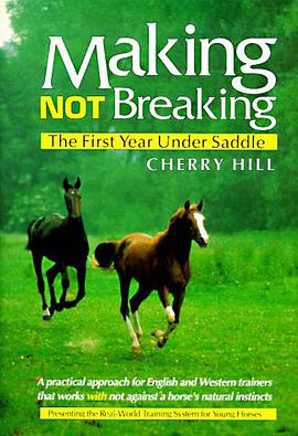 Making, Not Breaking pdf epub mobi 电子书 下载