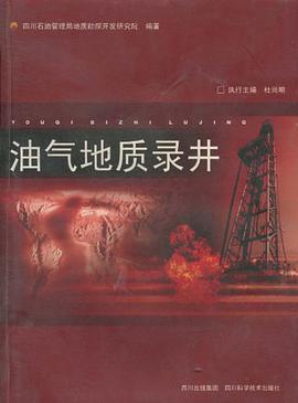 油氣地質錄井 pdf epub mobi 電子書 下載