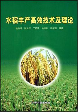 水稻丰产高效技术及理论 pdf epub mobi 电子书 下载