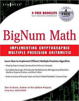 BigNum Math pdf epub mobi 电子书 下载
