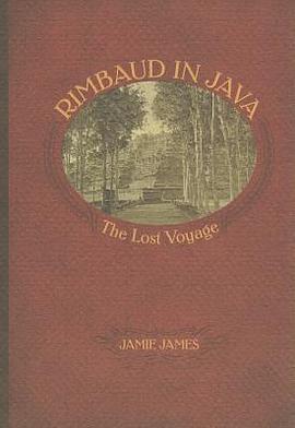 Rimbaud in Java pdf epub mobi 电子书 下载
