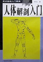 人体解剖入门/美术基础入门画库 pdf epub mobi 电子书 下载