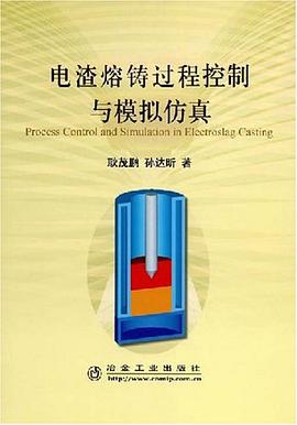 电渣熔铸过程控制与模拟仿真