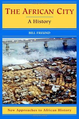 The African City pdf epub mobi 电子书 下载