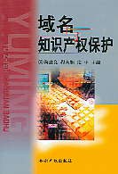 域名与知识产权保护 pdf epub mobi 电子书 下载