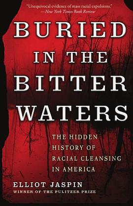 Buried in the Bitter Waters pdf epub mobi 电子书 下载