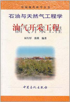 油气开采工程 pdf epub mobi 下载