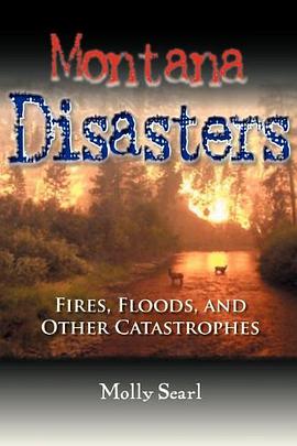 Montana Disasters pdf epub mobi 電子書 下載