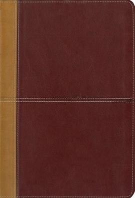 KJV/Amplified® Parallel Bible, Large Print pdf epub mobi 电子书 下载