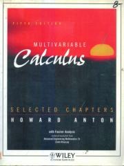 Multivariable Calculus: Selected Chapters [Fifth Edition， Chapters 16， 17， & 19 ] pdf epub mobi 电子书 下载