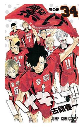 ハイキュー!! 34 pdf epub mobi 下载