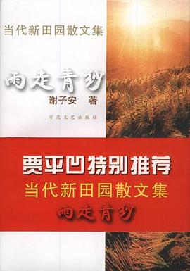 雨走青纱 pdf epub mobi 电子书 下载