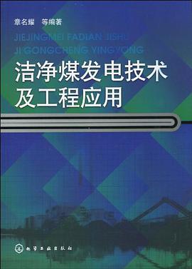 洁净煤发电技术及工程应用 pdf epub mobi 电子书 下载