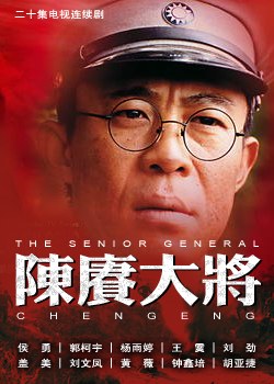 陈庚大将(20集连续剧) pdf epub mobi 电子书 下载