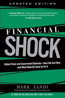 Financial Shock pdf epub mobi 电子书 下载