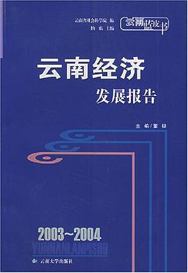 2003-2004云南宗教情势报告 pdf epub mobi 下载