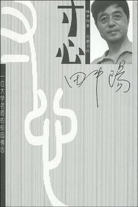 寸心 pdf epub mobi 电子书 下载