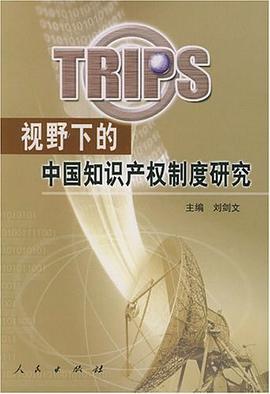 TRIPS视野下的中国知识产权制度研究 pdf epub mobi 电子书 下载