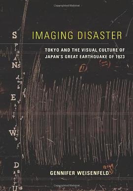 Imaging Disaster pdf epub mobi 电子书 下载