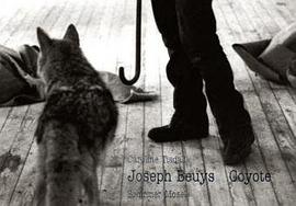 Joseph Beuys pdf epub mobi 电子书 下载