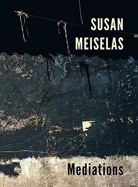 Susan Meiselas pdf epub mobi 下载