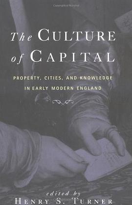 The Culture of Capital pdf epub mobi 電子書 下載