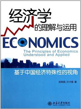 经济学的理解与运用 pdf epub mobi 电子书 下载