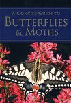 蝴蝶 A Concise Guide to Butterflies pdf epub mobi 电子书 下载
