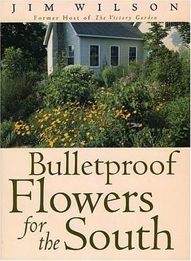 Bulletproof Flowers for the South pdf epub mobi 電子書 下載