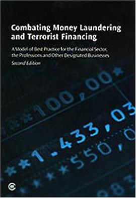 Combating Money Laundering and Terrorist Financing pdf epub mobi 电子书 下载