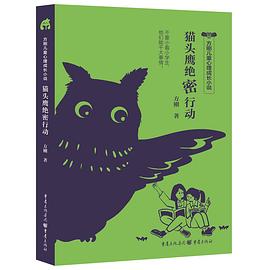 猫头鹰绝密行动 pdf epub mobi 电子书 下载