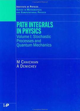 Path Integrals in Physics Volume 1 pdf epub mobi 电子书 下载