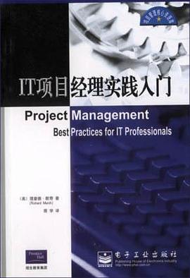 IT项目经理实践入门 pdf epub mobi 电子书 下载