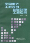 全国重大工程项目地基处理工程实录 pdf epub mobi 电子书 下载