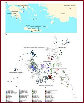 Genetic origins of the Minoans and Mycenaeans pdf epub mobi 电子书 下载